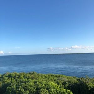 Meet your Posher, Joanne